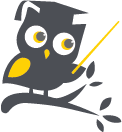 cefa-owl