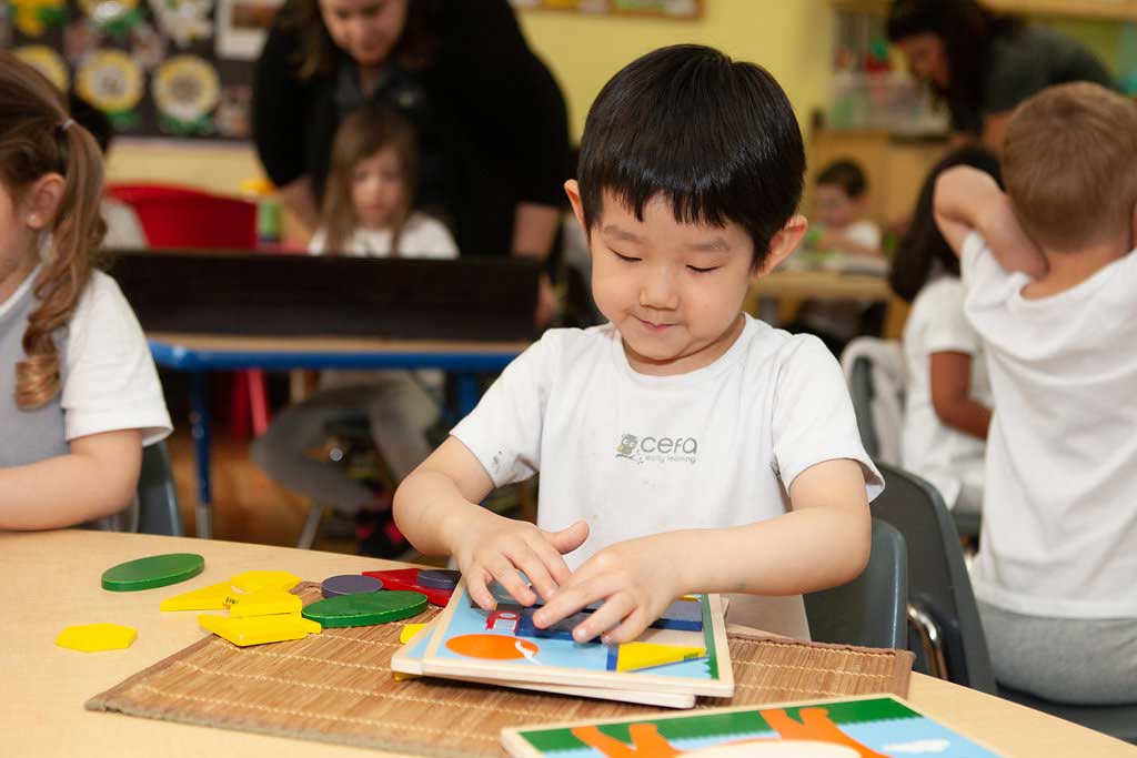 Cefa Curriculum