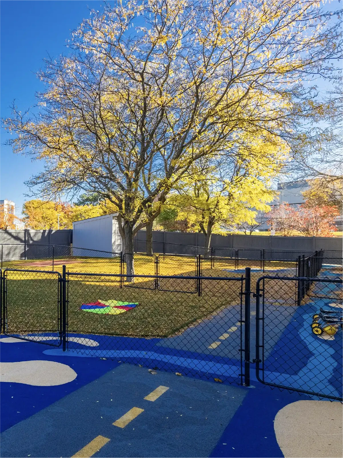 A fenced playground at early learning centres features a large tree with yellow autumn leaves, a colorful padded mat on the grass, and a rubber play surface with painted roads under a clear blue sky.